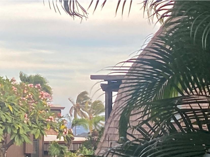Charming 1 Bedroom Beach Condo Prime Location Great Value Pahala Ngoại thất bức ảnh